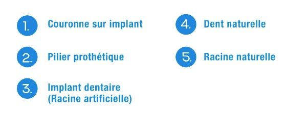 Implantation Cabinet Dentaire Les Dauphins à Baie-Mahault en Guadeloupe